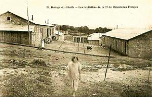 Barrage du Ghrib   (8)